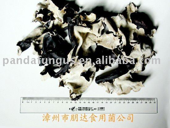 dried mushroom
