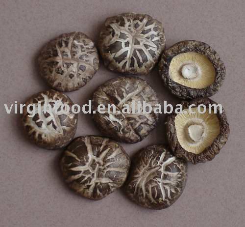 Dried Flower Mushroom