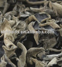 Dried  black   fungus / ear   mushroom / ear   fungus 