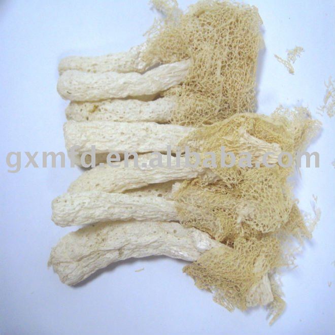 dried white bamboo fungus