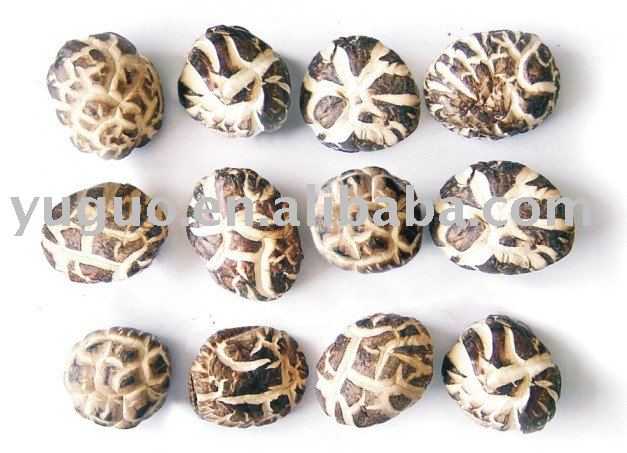 DRIED WHITE FLOWER SHIITAKE MUSHROOM