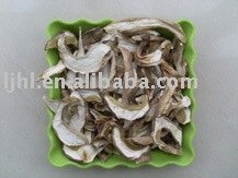dried boletus edulis slices