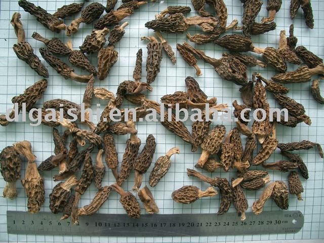  Morel ,  dried  mushrooms