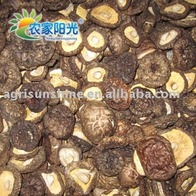 Dried funghi