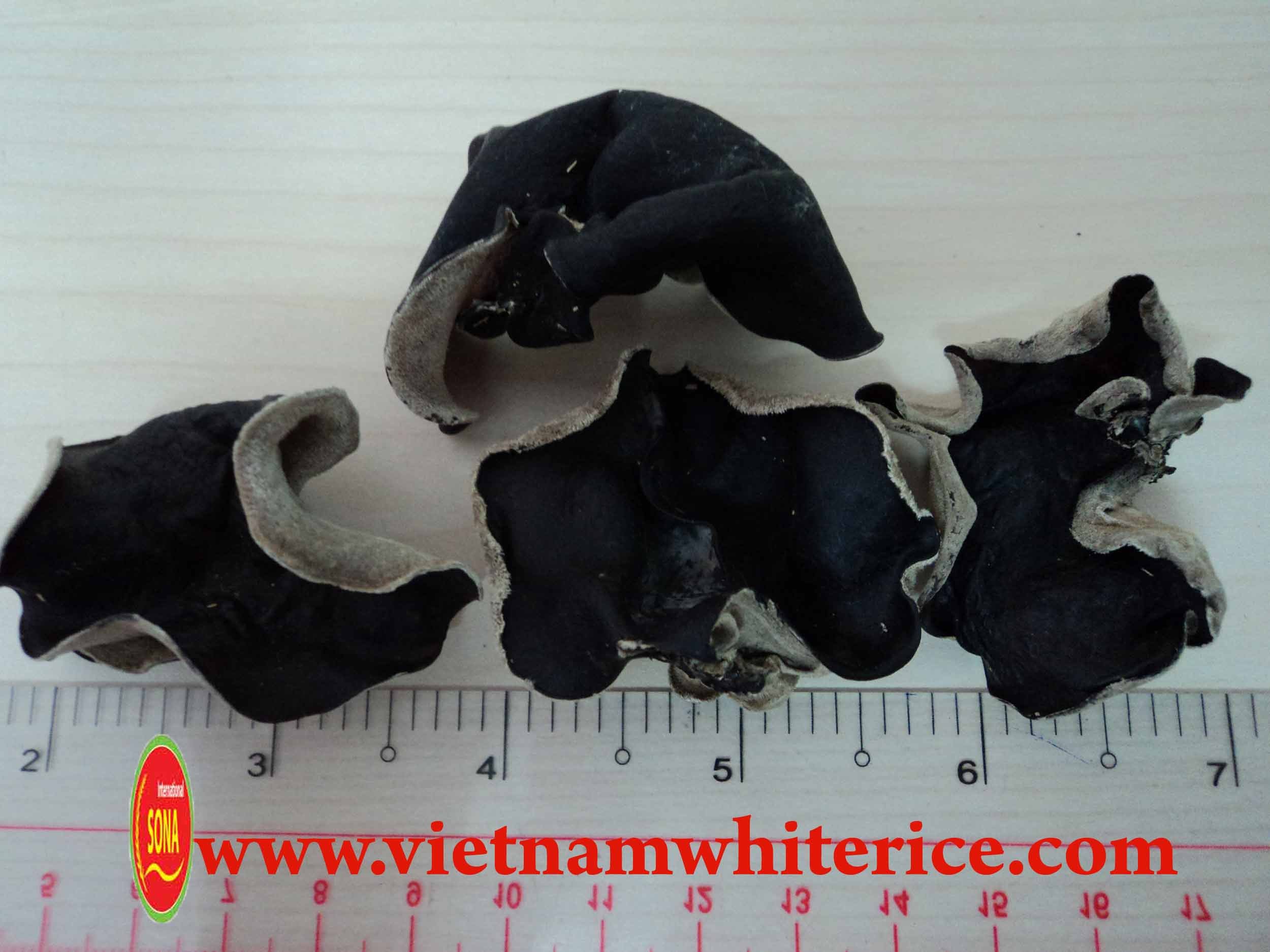 Vietnamese DRIED BLACK FUNGUS SLICE in BEST quality