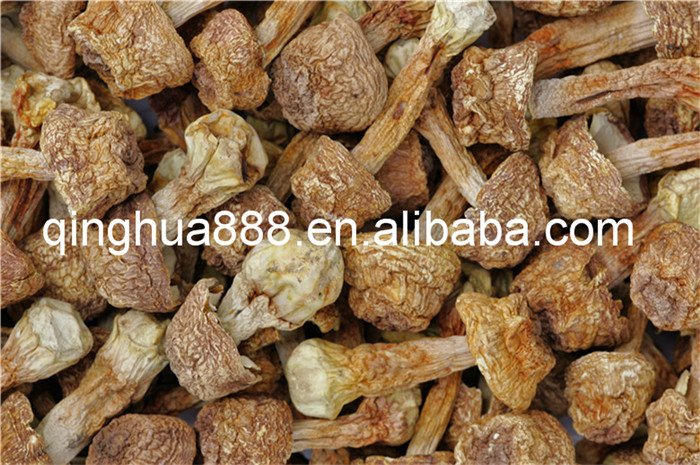 Dried Matsutake