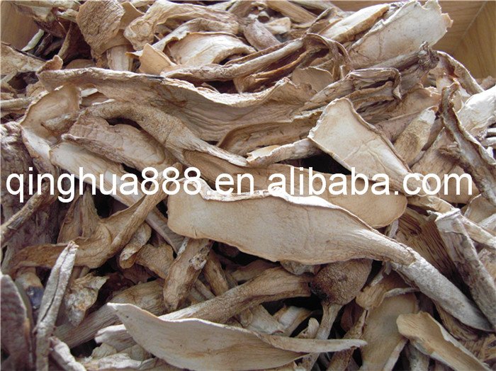  Dried   Eryngii   Mushroom 