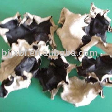 Dried Shiitake Mushroom