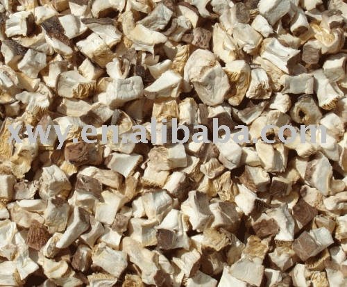 AD shiitake mushroom