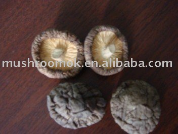 Dried black shiitake mushroom