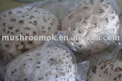 Super white flower mushroom(9-20cm)