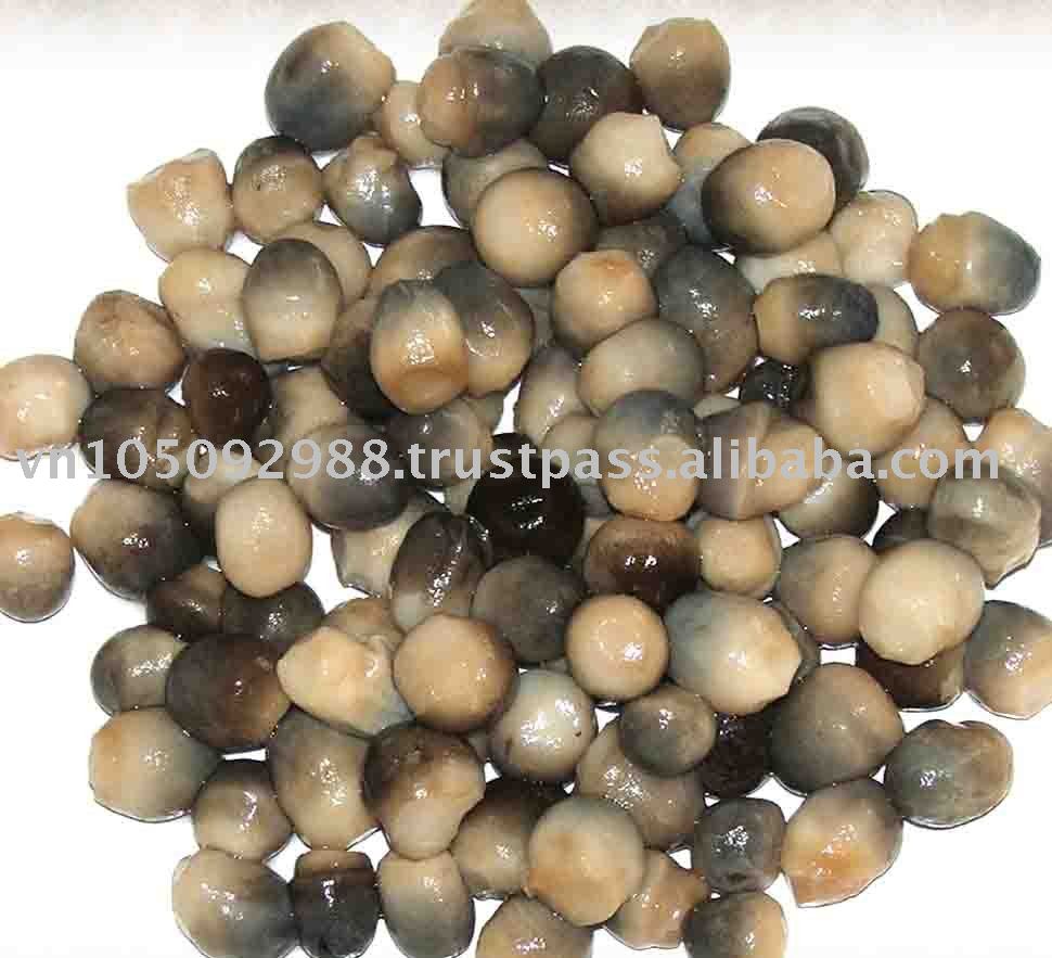 STRAW MUSHROOM,Vietnam HOANGTUANFOODS price supplier - 21food