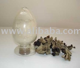 Black Fungi Mushroom Powder