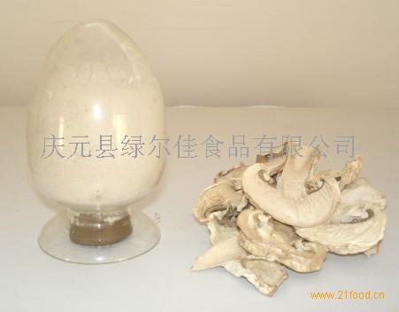 Sell  Champignon s  Powder 