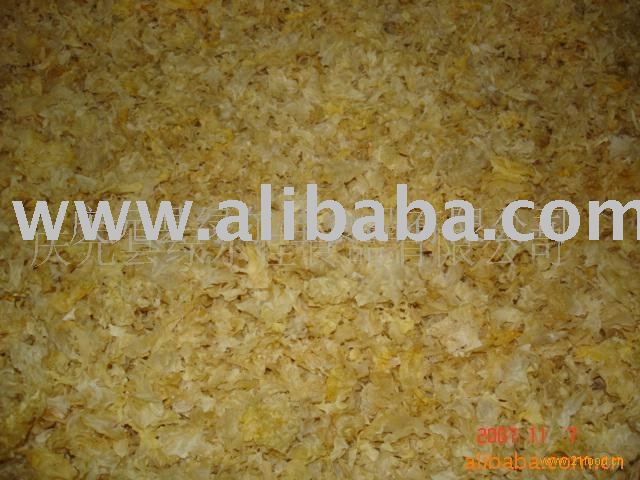 Tremella Mushroom