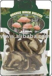Birch Bolete, PET 100g