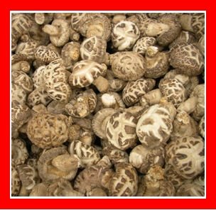Xi xia County Henan Dried Shiitake Mushroom