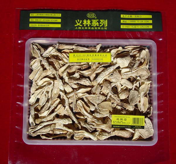 dried Lawyer s Wig Mushroom
