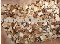  Boletus   porcini 