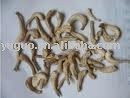 dried  shiitake   stem 