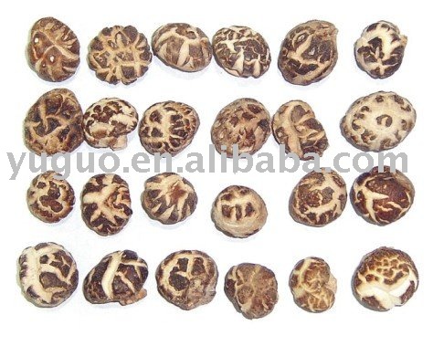 NEW CROP DRIED WHITE FLOWER SHIITAKE MUSHROOM CUBE