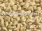 VIETNAM CASHEW