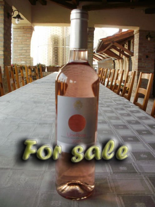 Kekfrankos Rose