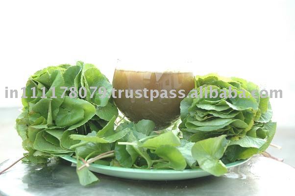  natural   calcium  soup