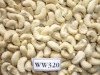 VIETNAM CASHEW NUT KERNELS GRADE WW320