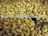  raw  cashew nut viet nam best price