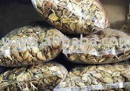 Ogbono nut Palm nuts Red bopple nut