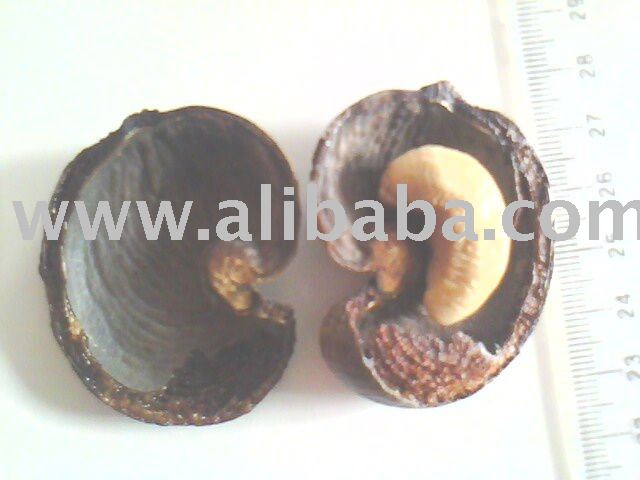 Raw Cashew Nuts (2011 Crop)