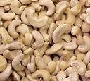raw Cashew Nuts