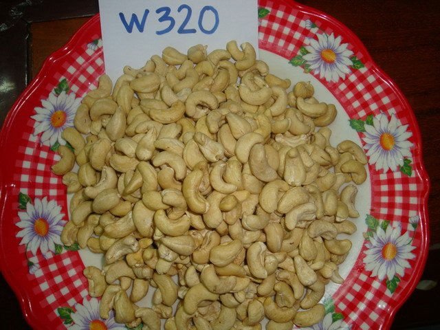 CASHEW NUTS AVAILABLE WITH SAMPLES