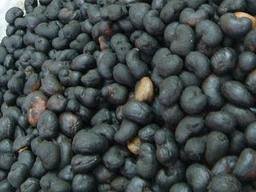 Sell cashew kernels