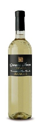 Lugana di Sirmione d.o.c. Vigna Bragagna wine