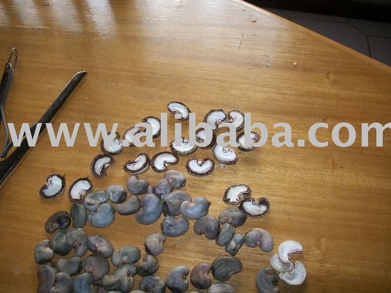Ghana Raw cashew nut in shell