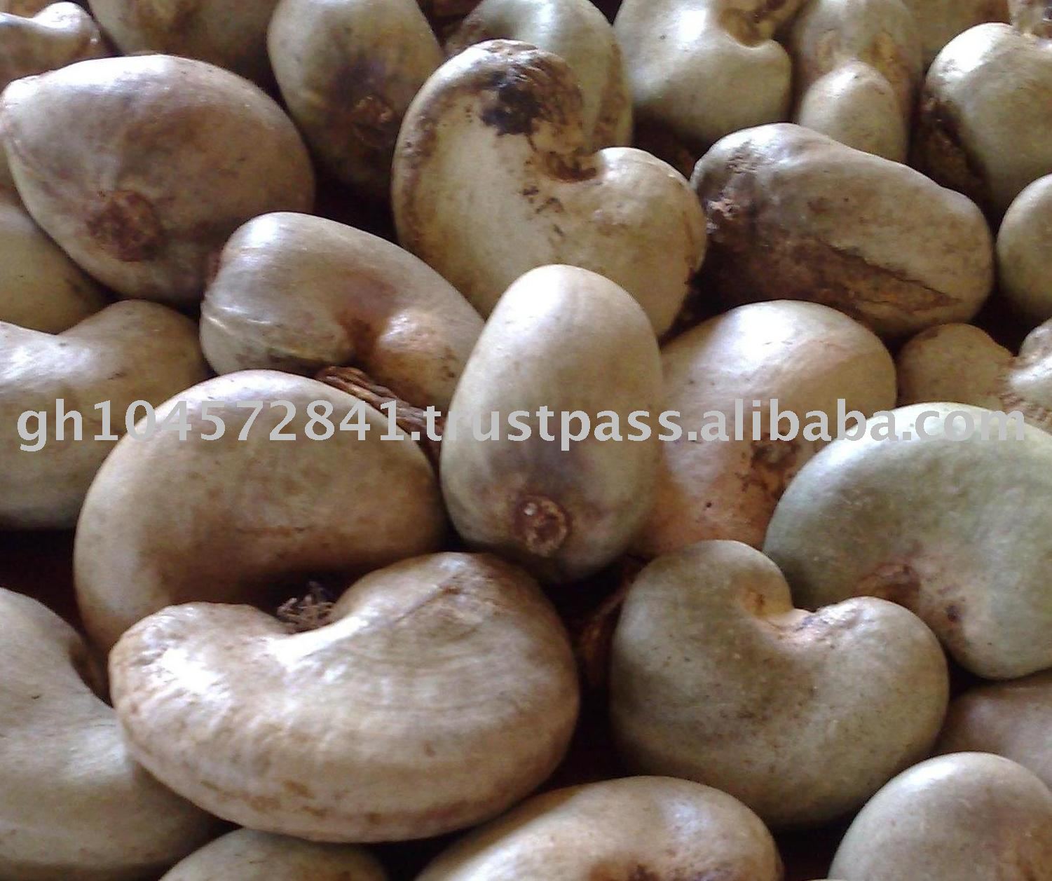 raw cashew nut price in ghana