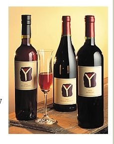 Wines-  Y-Shiraz