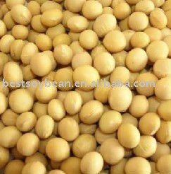 Orgainc NON-GMO soybean