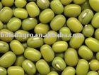 Green mung beans