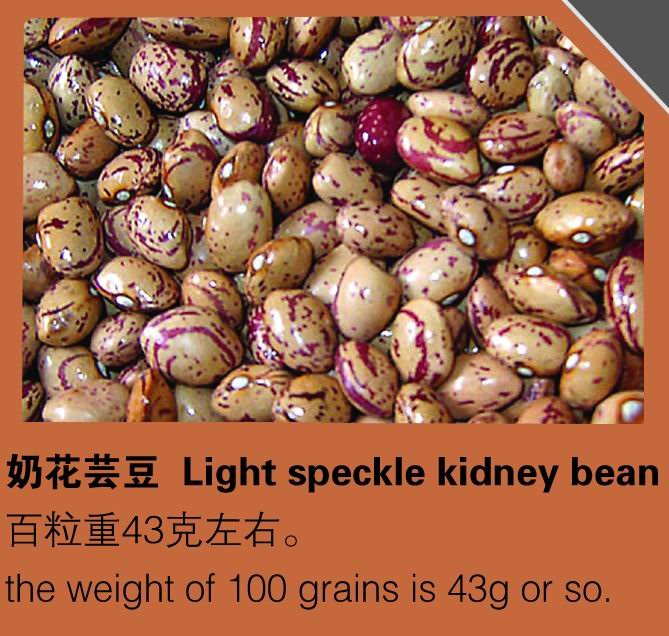 organic light speckled kidney bean