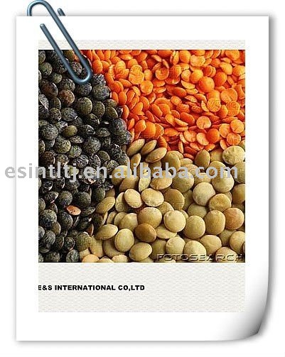 Lentils