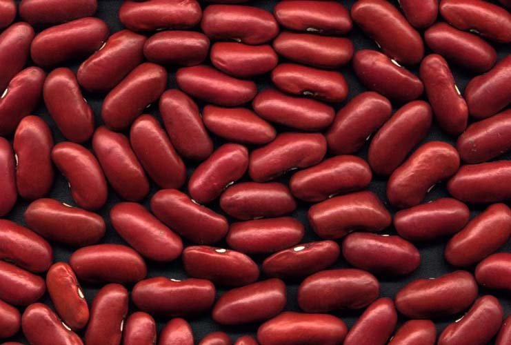british red kidney beans 220-240