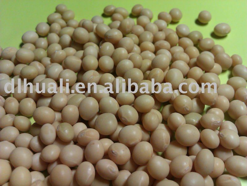 Organic Chinese Yellow  Soybean/soya bean( 2010 crop, Jilin Origin)