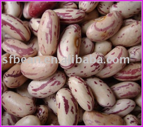 light speckled kidney bean