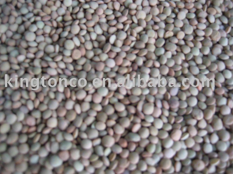chinese lentils