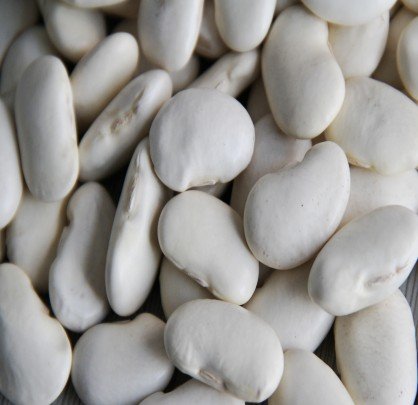 large  white Kidney Beans