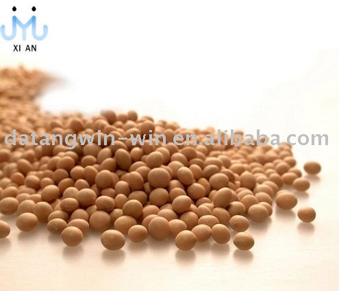 High  protein yellow soybeans