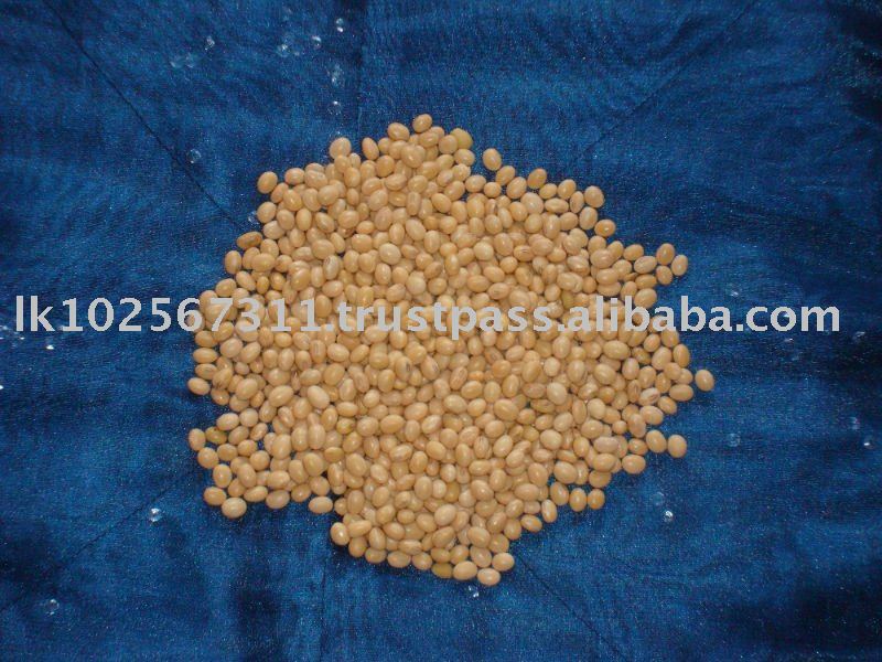 Soya Beans